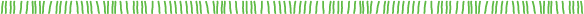 grass border